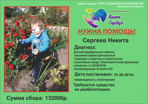 НУЖНА ПОМОЩЬ! Требуются средства на реабилитацию для Сергеева Никиты